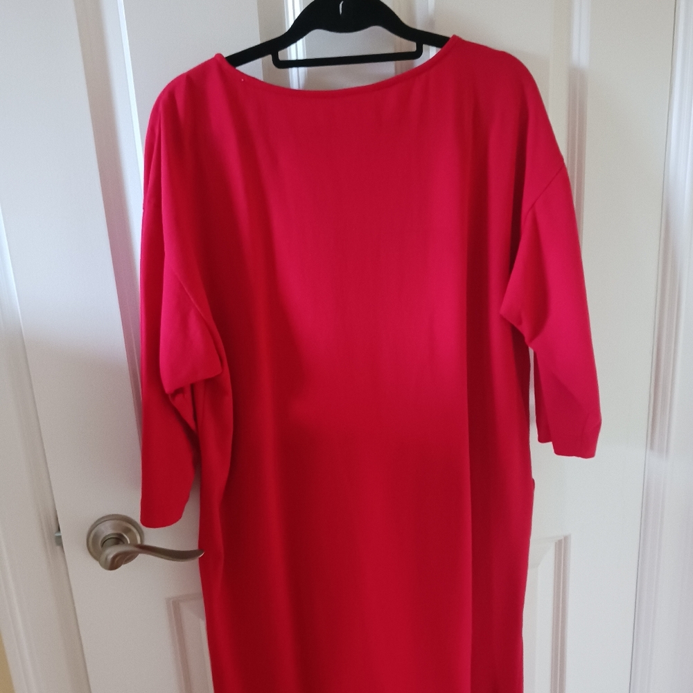 Red Embroidered Dress - Picture 3 of 7
